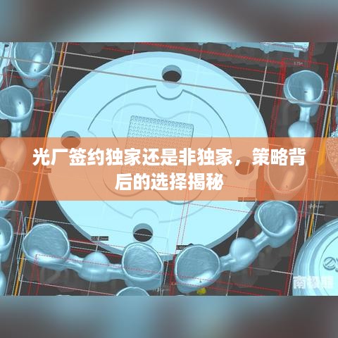 衣无二彩 第2页