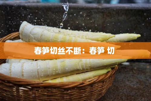春笋切丝不断：春笋 切 