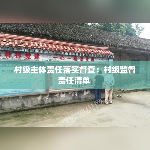 村级主体责任落实督查：村级监督责任清单 
