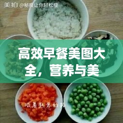 高效早餐美图大全，营养与美味并存的完美早餐搭配