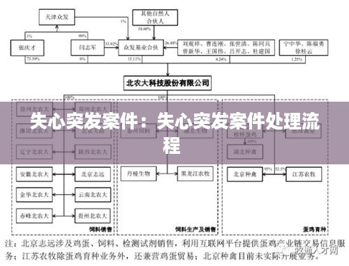 失心突发案件：失心突发案件处理流程 