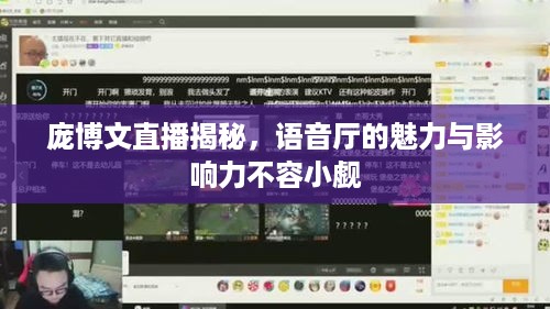 庞博文直播揭秘，语音厅的魅力与影响力不容小觑
