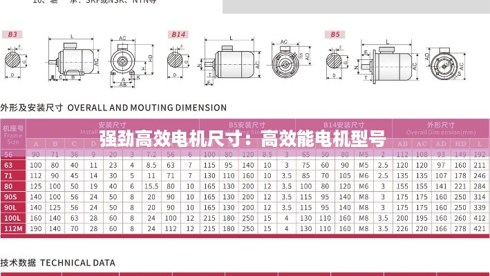 强劲高效电机尺寸：高效能电机型号 