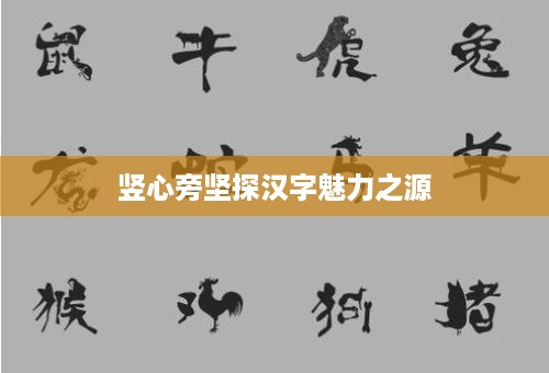 竖心旁坚探汉字魅力之源