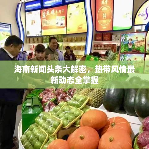 海南新闻头条大解密，热带风情最新动态全掌握