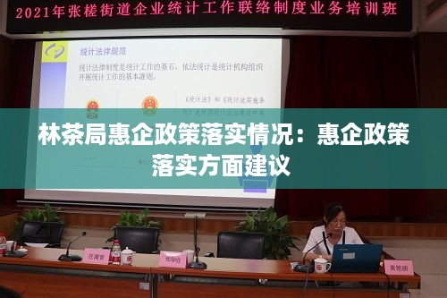 林茶局惠企政策落实情况：惠企政策落实方面建议 