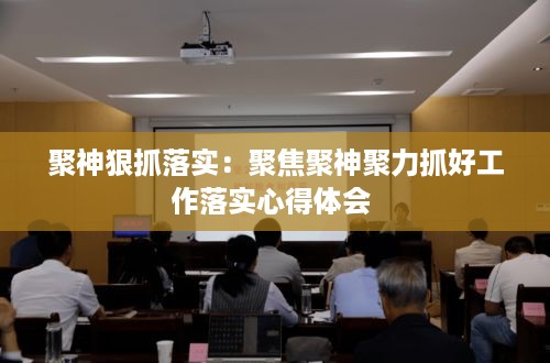 聚神狠抓落实：聚焦聚神聚力抓好工作落实心得体会 
