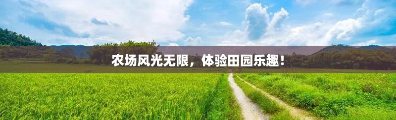 buchixiawen 第2页