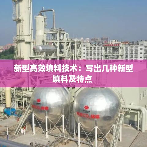 新型高效填料技术：写出几种新型填料及特点 