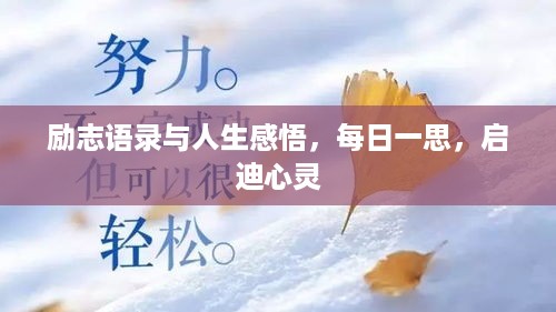 励志语录与人生感悟，每日一思，启迪心灵