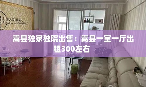 嵩县独家独院出售：嵩县一室一厅出租300左右 
