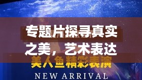 专题片探寻真实之美，艺术表达的真实性与深度探索