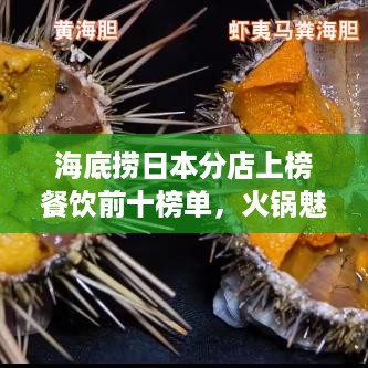 海底捞日本分店上榜餐饮前十榜单，火锅魅力席卷日本！