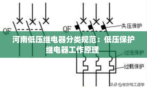 管窥蛙见 第2页