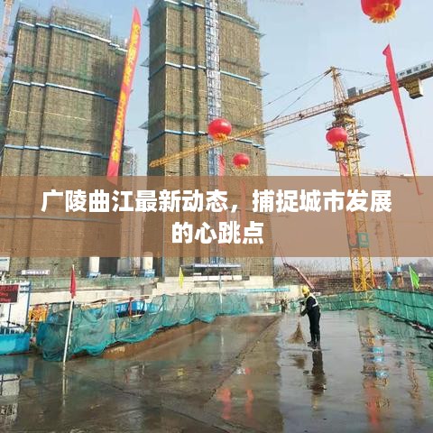 广陵曲江最新动态，捕捉城市发展的心跳点