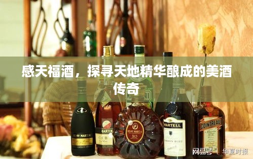 jiankuzhuojue 第2页