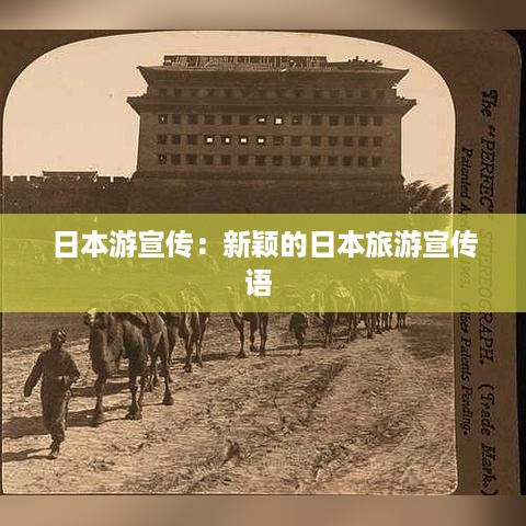 标新竞异 第2页