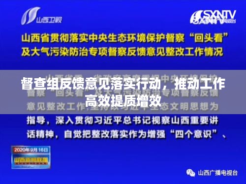 督查组反馈意见落实行动，推动工作高效提质增效