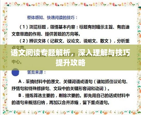 语文阅读专题解析，深入理解与技巧提升攻略