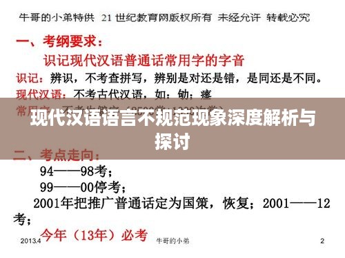 现代汉语语言不规范现象深度解析与探讨