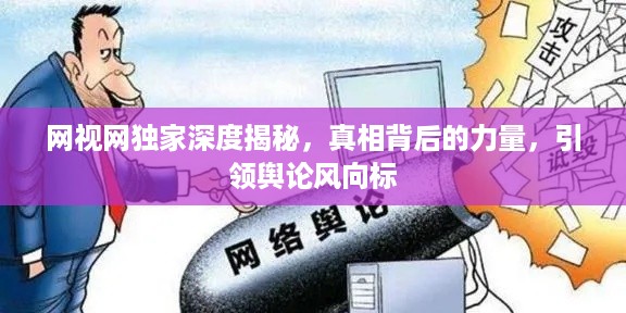 网视网独家深度揭秘，真相背后的力量，引领舆论风向标