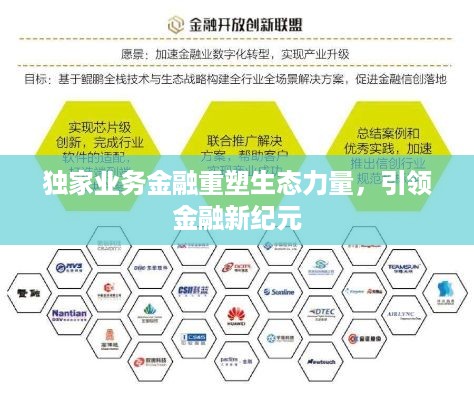 独家业务金融重塑生态力量，引领金融新纪元