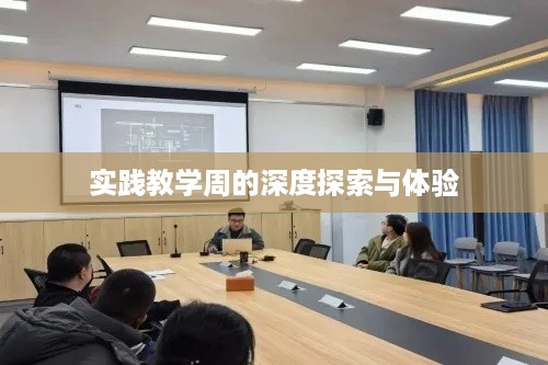 实践教学周的深度探索与体验