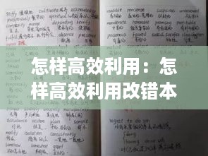 怎样高效利用：怎样高效利用改错本 