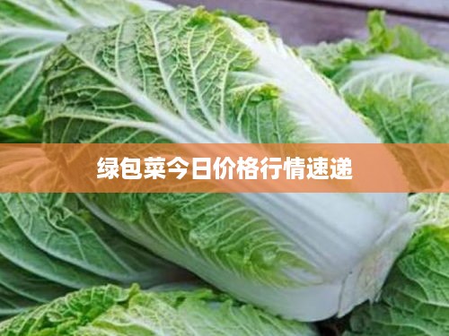 风韵犹存 第2页