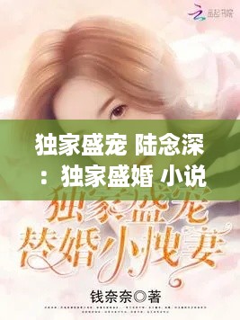 独家盛宠 陆念深：独家盛婚 小说 