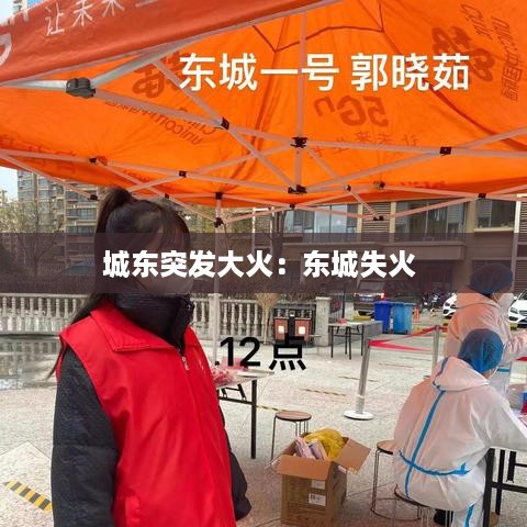 城东突发大火：东城失火 