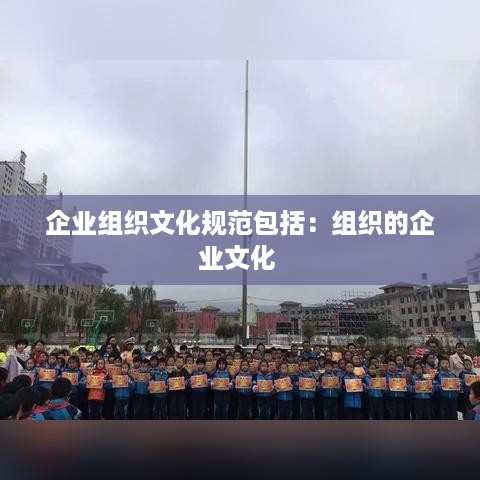 企业组织文化规范包括：组织的企业文化 