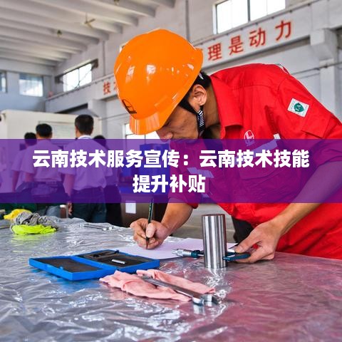 云南技术服务宣传：云南技术技能提升补贴 