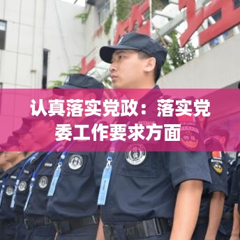 认真落实党政：落实党委工作要求方面 