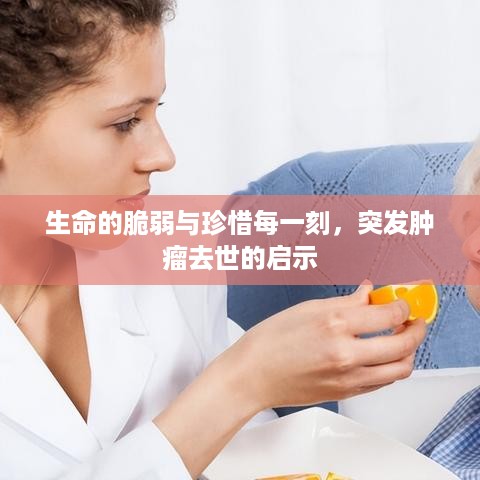 生命的脆弱与珍惜每一刻，突发肿瘤去世的启示