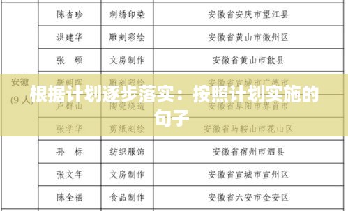 根据计划逐步落实：按照计划实施的句子 