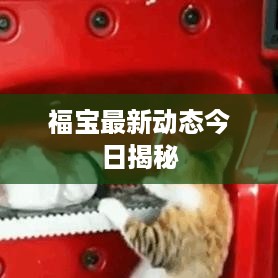 shenzhongqishi 第2页