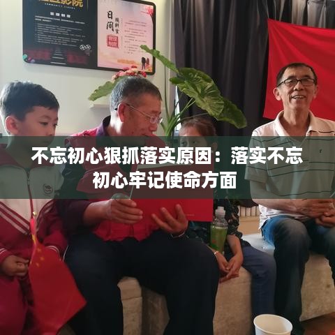 不忘初心狠抓落实原因：落实不忘初心牢记使命方面 