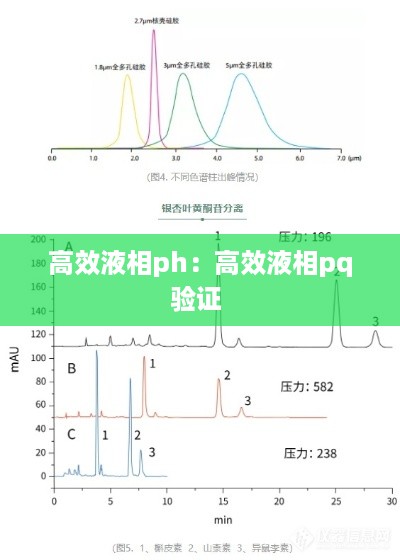 高效液相ph：高效液相pq验证 