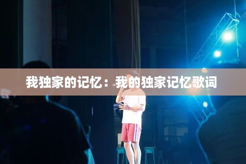 我独家的记忆：我的独家记忆歌词 