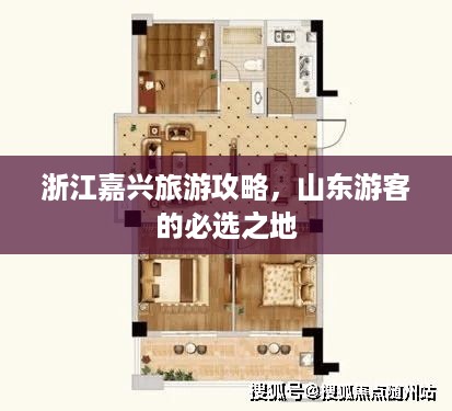 浙江嘉兴旅游攻略，山东游客的必选之地