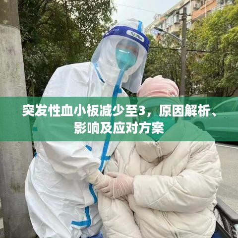突发性血小板减少至3，原因解析、影响及应对方案