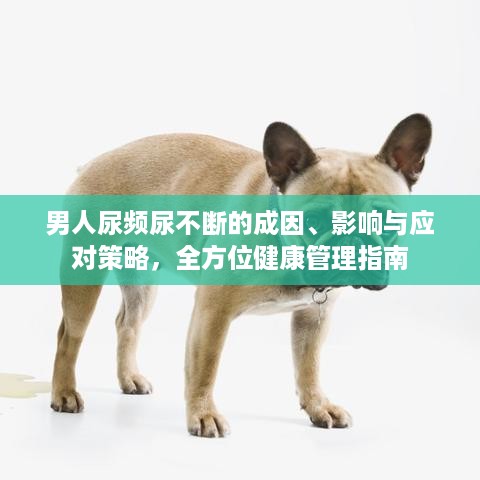 举步如飞 第2页