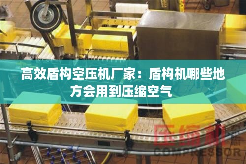 yankongsihai 第2页