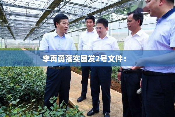李再勇落实国发2号文件： 