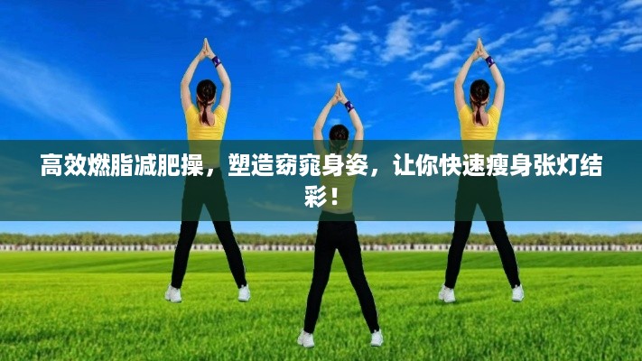 高效燃脂减肥操，塑造窈窕身姿，让你快速瘦身张灯结彩！