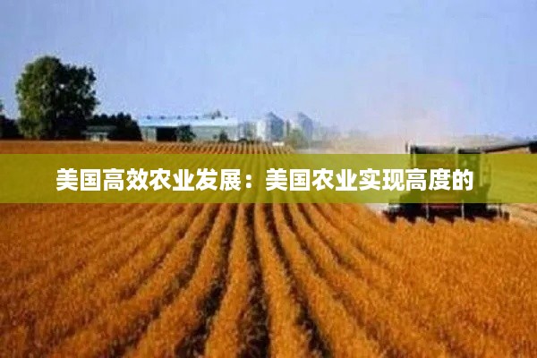美国高效农业发展：美国农业实现高度的 