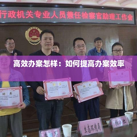 高效办案怎样：如何提高办案效率 