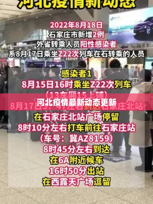 河北疫情最新动态更新