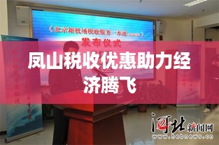 凤山税收优惠助力经济腾飞